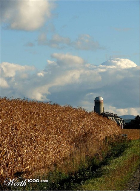 Photography by Berilu