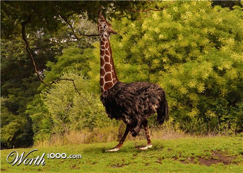 Photoshop Design by andresjb