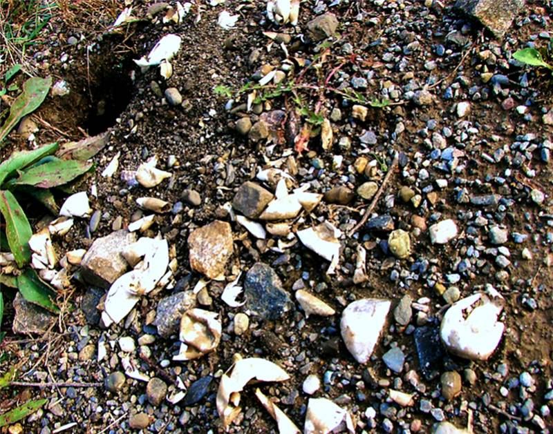 Photography by Berilu for DesignCrowd (Community Contests) | Design #8961879