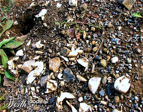 Photography by Berilu