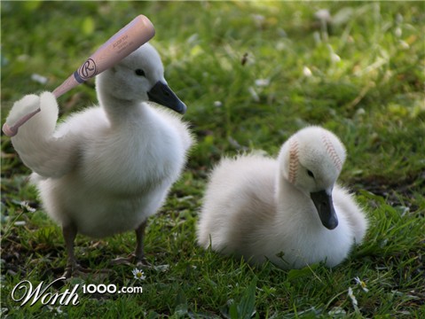 Photoshop Design by bicyclewilli