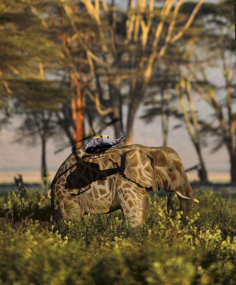 Photoshop Design by Thegardener for DesignCrowd (Community Contests) | Design #8961108