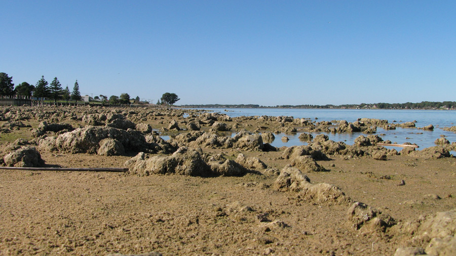 Photographie par Swish1940 pour DesignCrowd (Community Contests) | Design #8961890