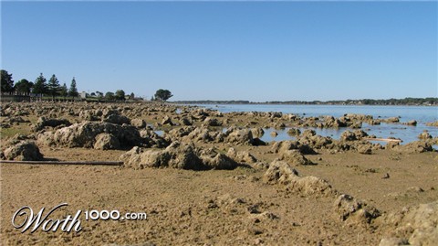 Photography by Swish1940