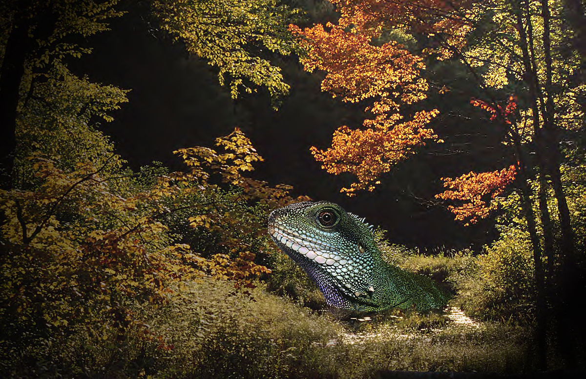 Photoshop Design by bicyclewilli for DesignCrowd (Community Contests) | Design #8961143