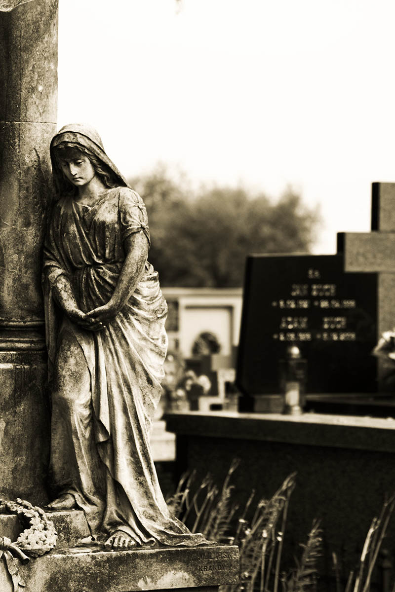 Photography by ScThom for DesignCrowd (Community Contests) | Design #8963405