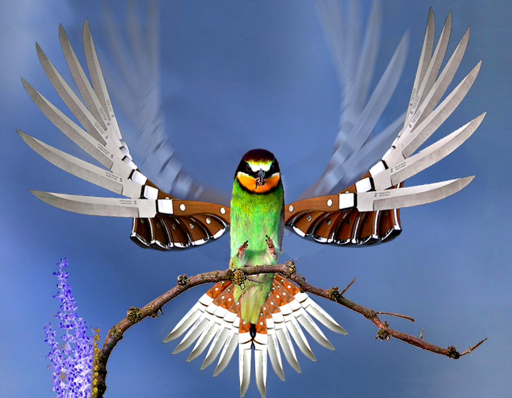 Photoshop Design by MarcSTLouis for DesignCrowd (Community Contests) | Design #8961841