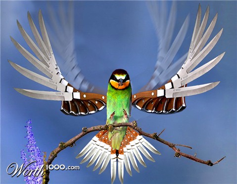 Photoshop Design by MarcSTLouis