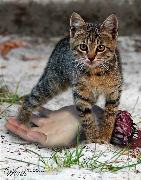 Photoshop Design by ariox222