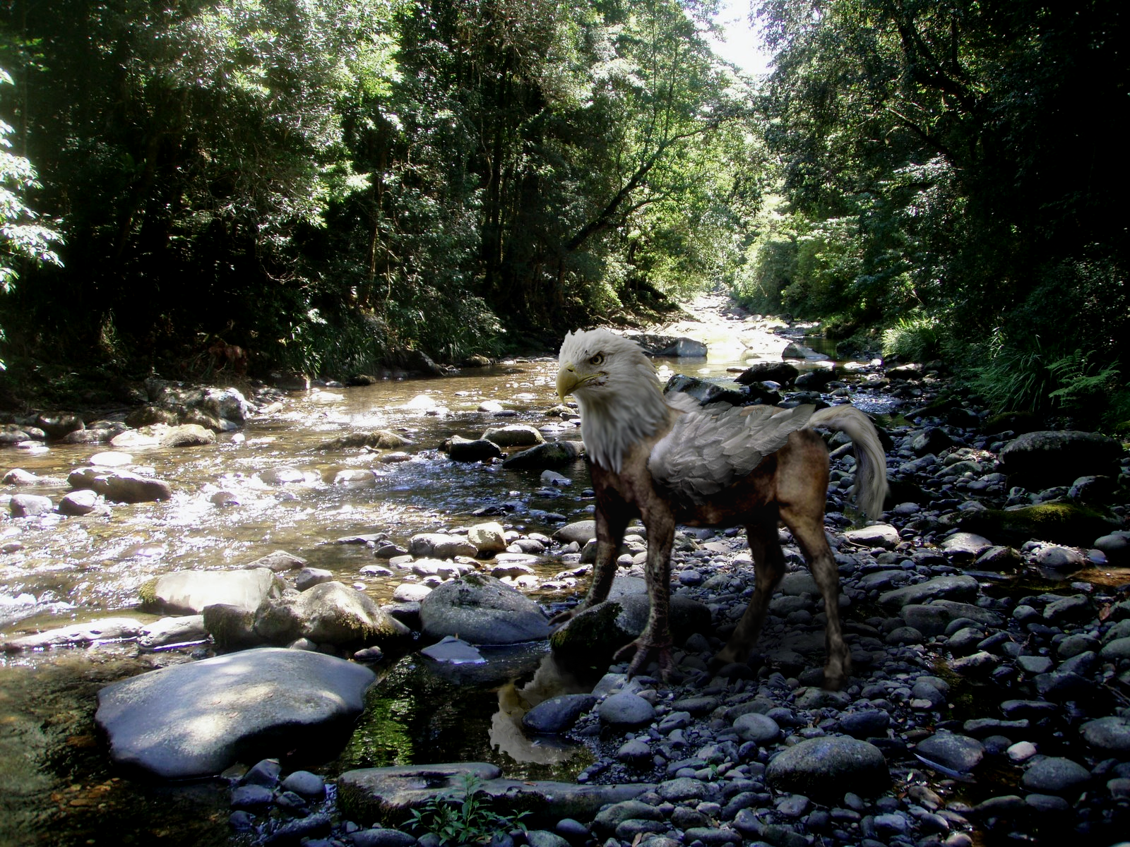 Photoshop-Design von Sillyboi für DesignCrowd (Community Contests) | Design #8961149