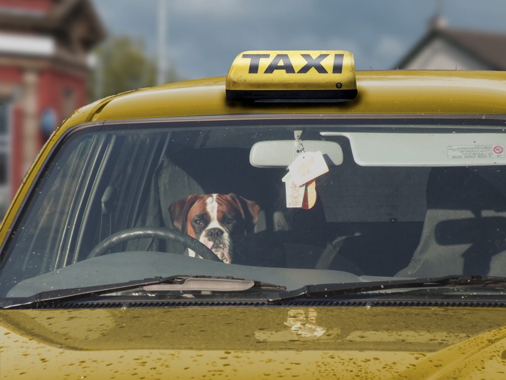 Photoshop Design by Scraggy for DesignCrowd (Community Contests) | Design #8961853