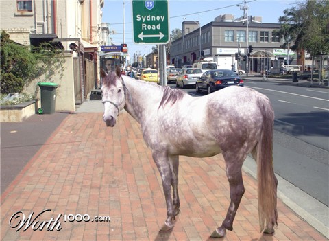 Photoshop Design by kathiess