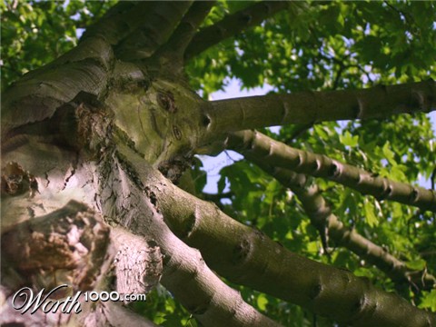 Photoshop Design by Mansplash