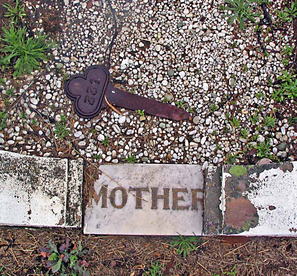 Photography by ICEBUNNY for DesignCrowd (Community Contests) | Design #8963401