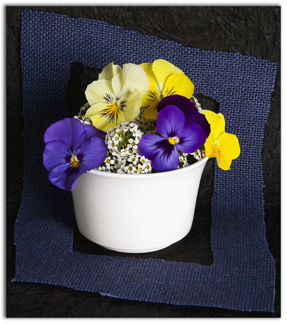 Fotografía por ahutty para DesignCrowd (Community Contests) | Diseño #8962829