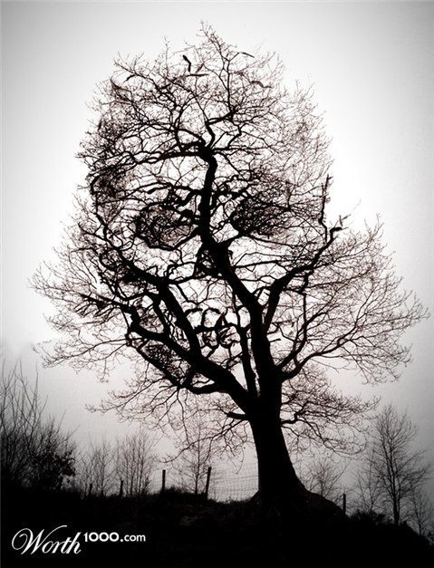 Photoshop Design by catfish08