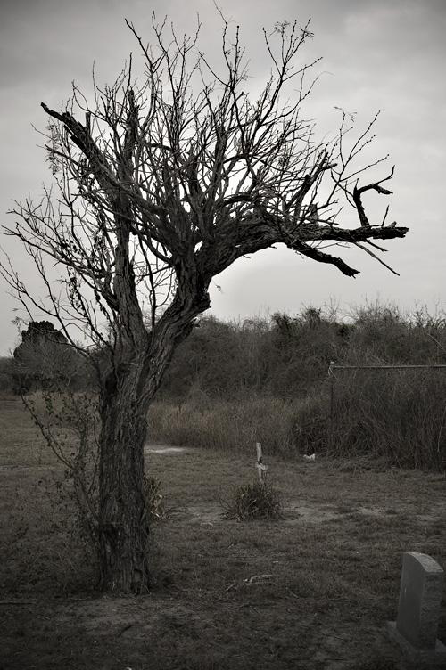 Photography by darwin for DesignCrowd (Community Contests) | Design #8963371