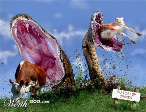 Photoshop Design by HopePhoto