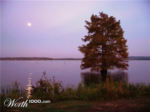 Photography by kanucme