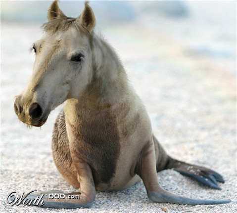 Photoshop Design by ilovekarate