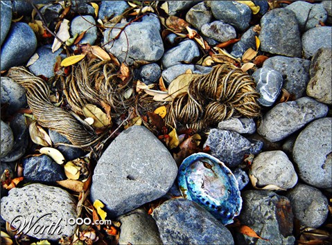Photography by essjaynz