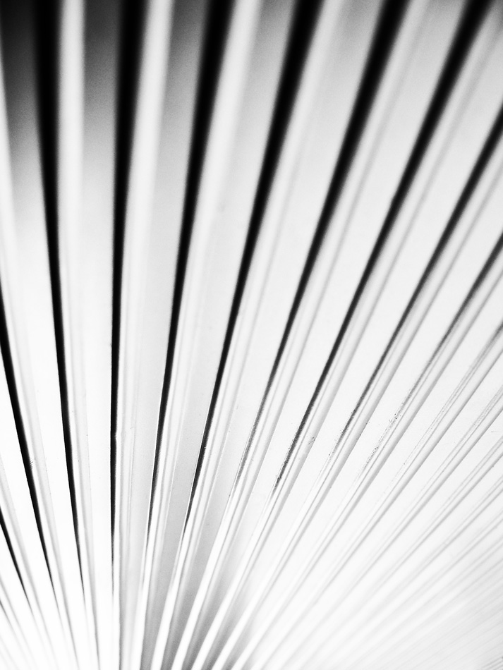 Photography by fujiellena for DesignCrowd (Community Contests) | Design #8961295