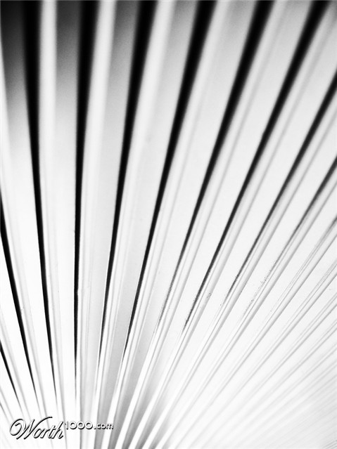 Photography by fujiellena