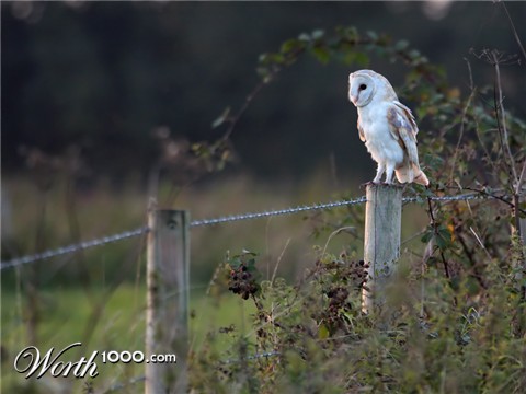 Photography by cycoze