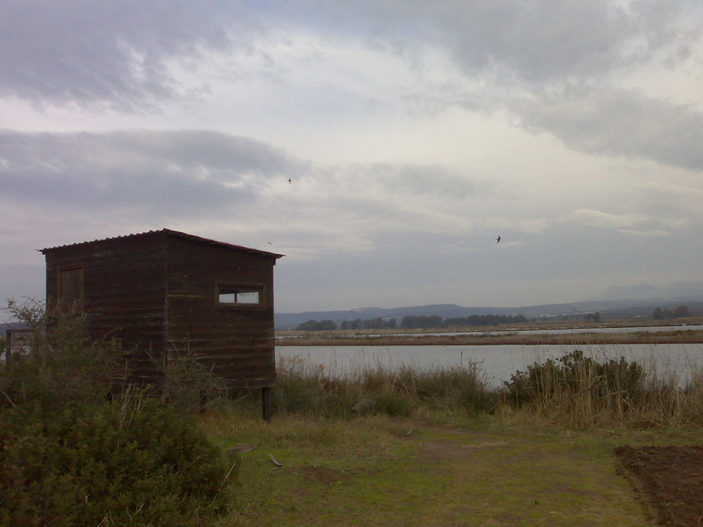 Photography by jtzag18 for DesignCrowd (Community Contests) | Design #8961164