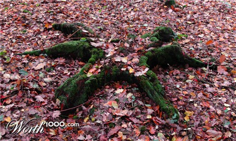 Photography by Roel1969