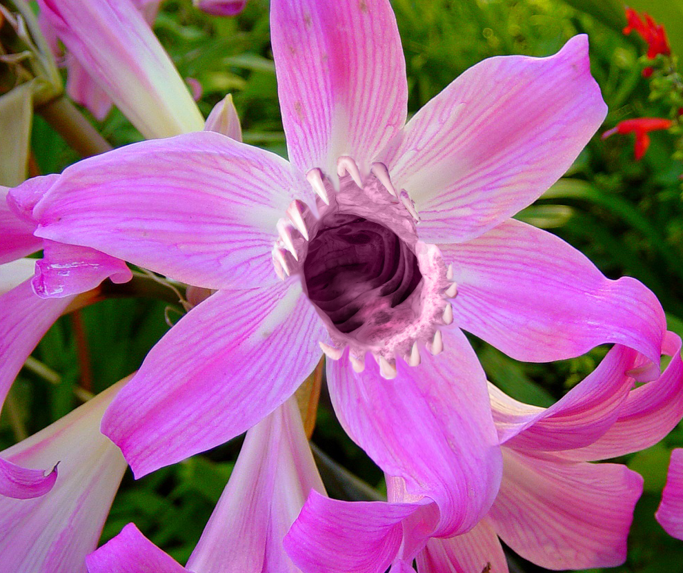 Photoshop Design by PoisonnIvy for DesignCrowd (Community Contests) | Design #8961767