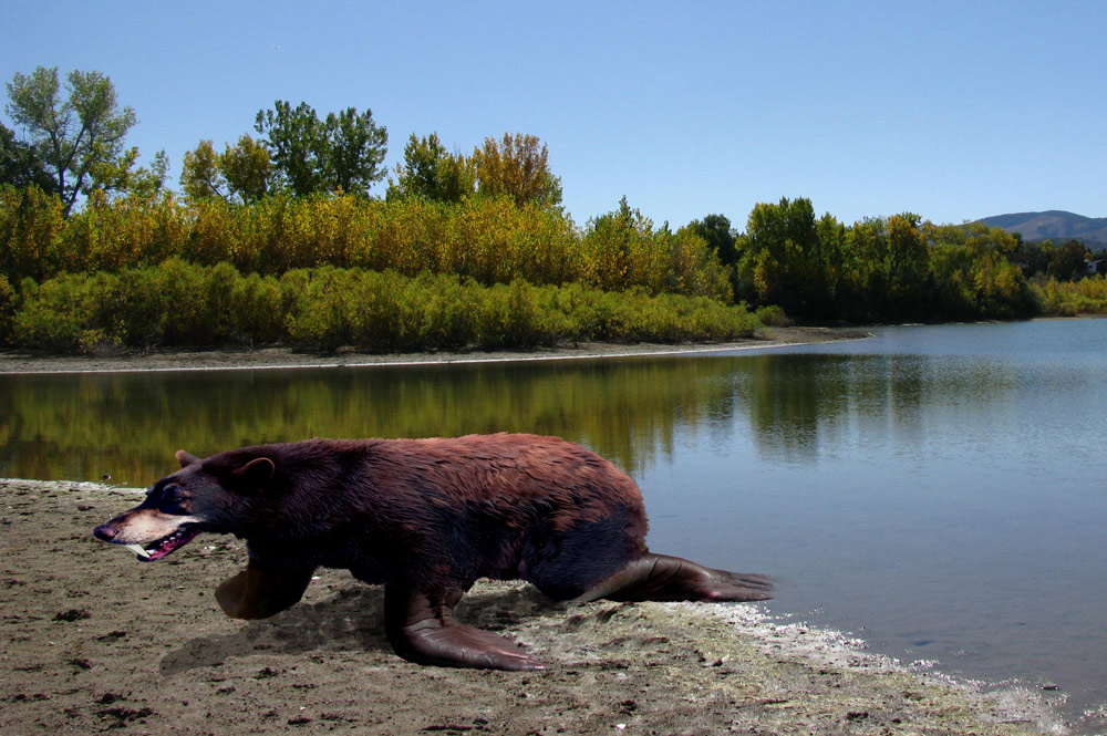 Photoshop Design by exposed for DesignCrowd (Community Contests) | Design #8961262