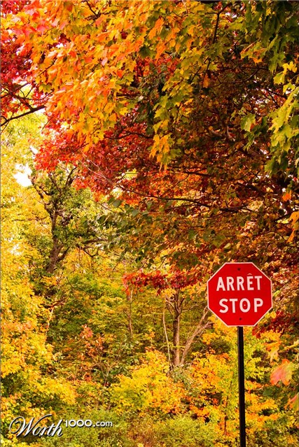 Photography by Argonaut1973