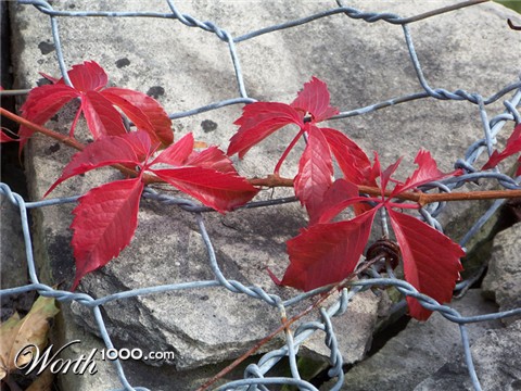 Photography by Balbina