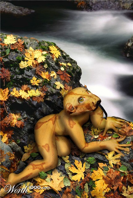 Photoshop Design by cameon