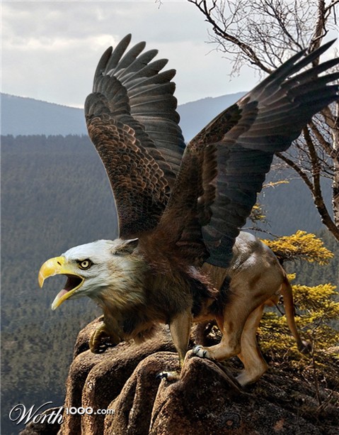 Photoshop Design by Greenbob