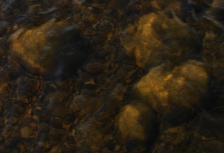 Photography by Bunarooba for DesignCrowd (Community Contests) | Design #8961979