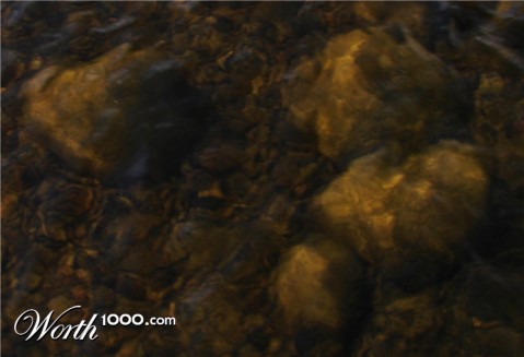 Photography by Bunarooba