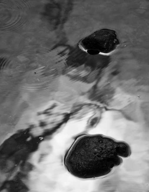 Fotografía por lllwayaklll para DesignCrowd (Community Contests) | Diseño #8961988