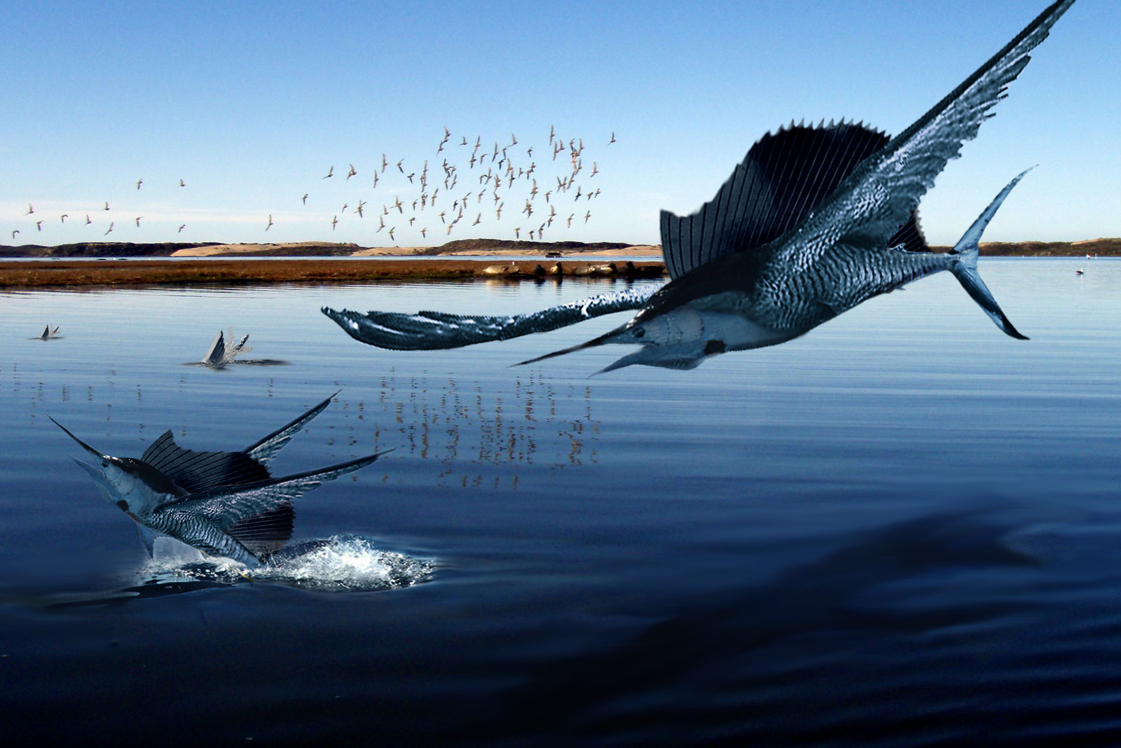 Photoshop Design by anitamore18 for DesignCrowd (Community Contests) | Design #8961355