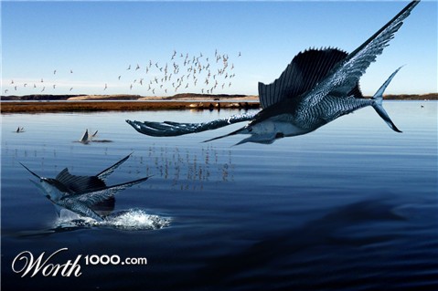 Photoshop Design by anitamore18