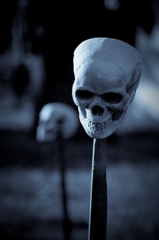 Photography by poisonberry for DesignCrowd (Community Contests) | Design #8963363