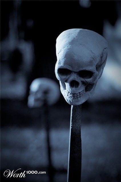 Photography by poisonberry