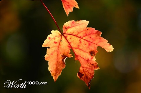 Photography by bbfarmer