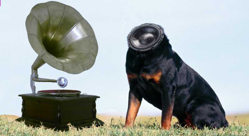 Photoshop Design by ZaphodQB for DesignCrowd (Community Contests) | Design #8962497