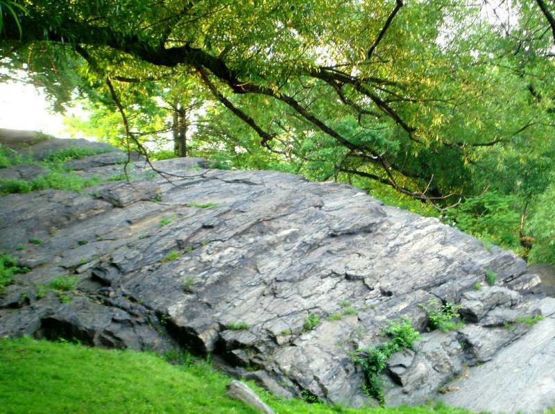 Photography by JoneSyMouSeY for DesignCrowd (Community Contests) | Design #8961968