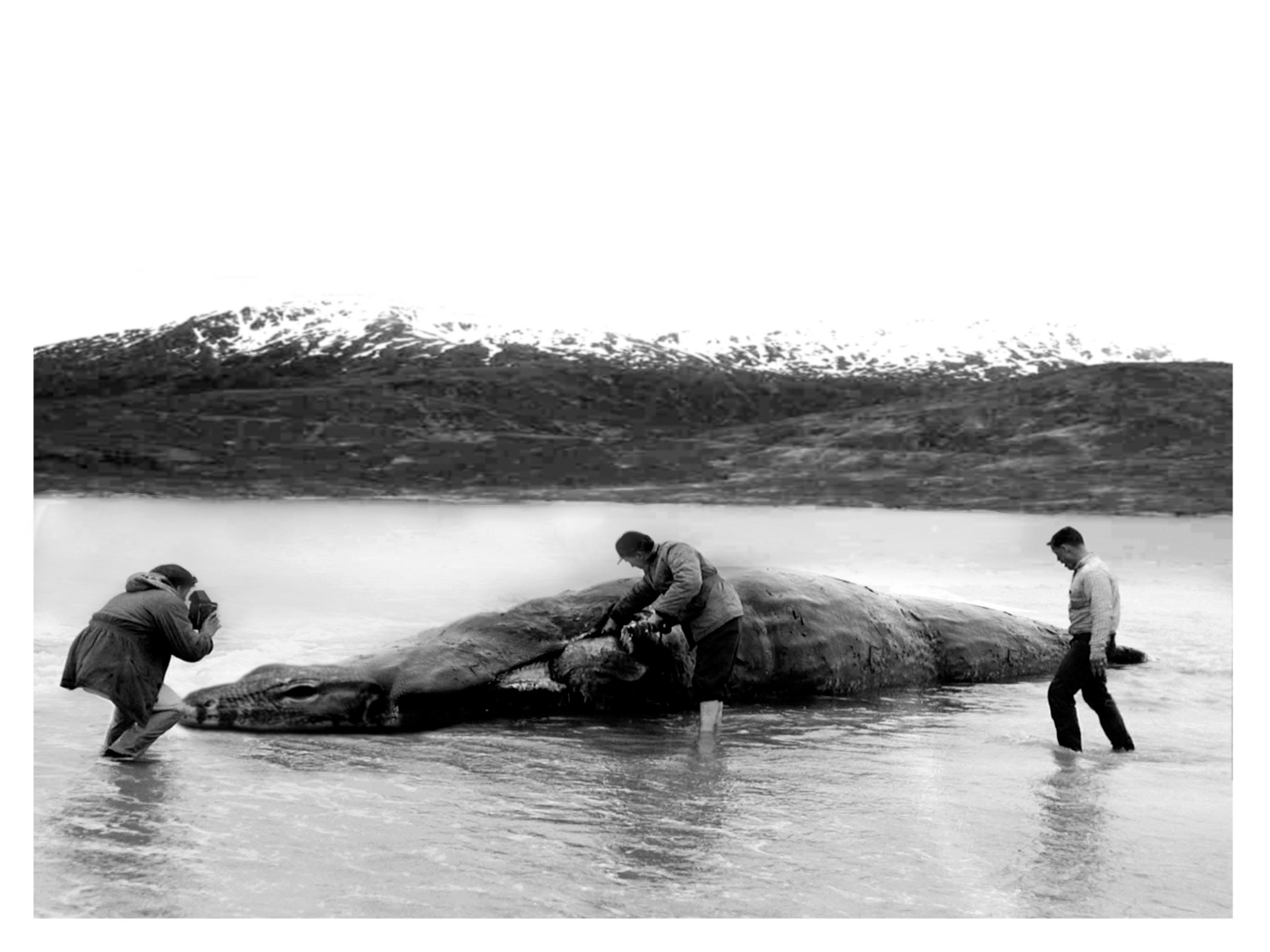 Photoshop Design by brypro63 for DesignCrowd (Community Contests) | Design #8961321