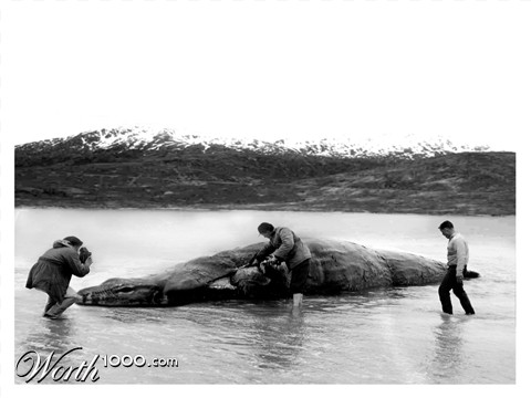 Photoshop Design by brypro63