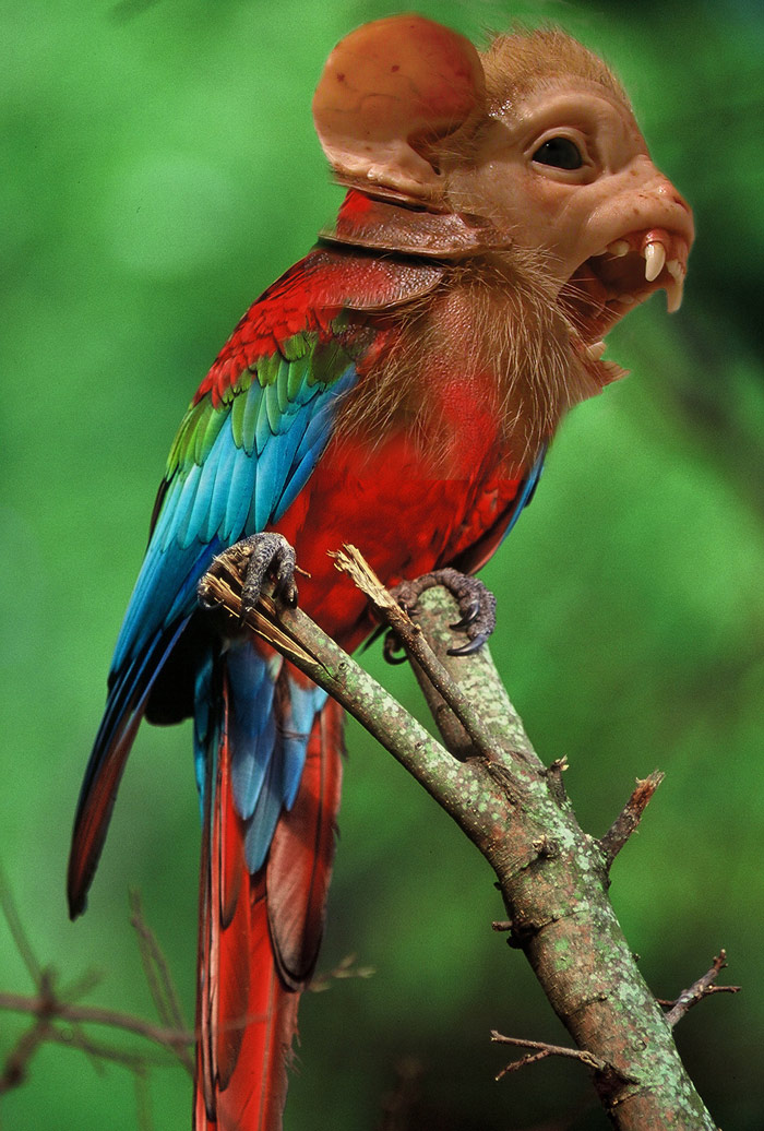 Design Photoshop par pvictory pour DesignCrowd (Community Contests) | Design #8961338