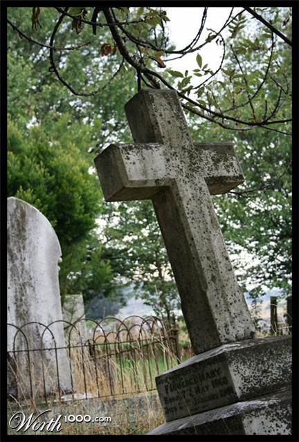 Photography by Awyrdo